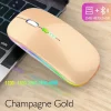 S2f015cbae9e94d79b2eb82be30b7f1cal.webp