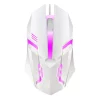 S9b39f9d194f345bbafab95f8d8e2d318H.webp